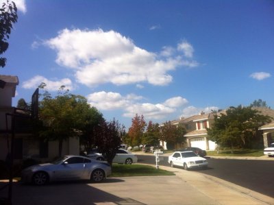 在美国开车的一些安全提示